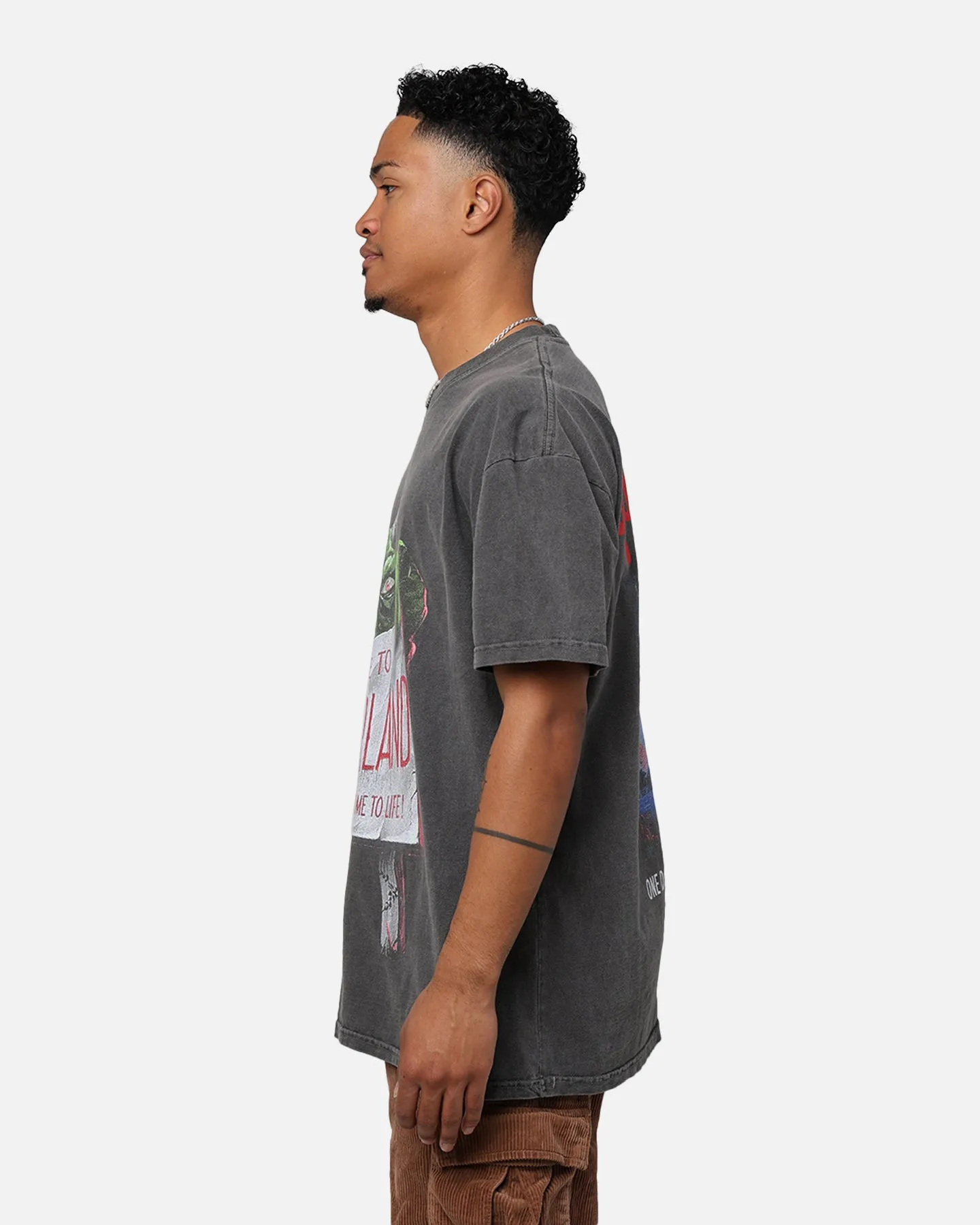 American Thrift X Goosebumps Horrorland Heavyweight T-Shirt Black Wash