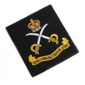 ARMY PHYSICAL TRAINING CORPS CLOTH BLAZER BADGE Silvermans
