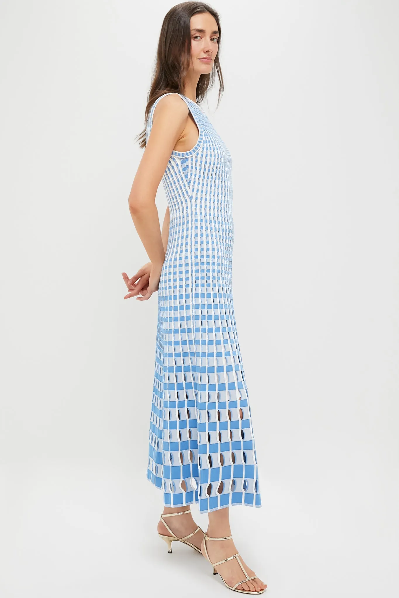 Blue Hydrangea Multi Zelma Maxi Dress