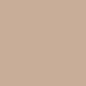 Columbia Women Brown Omni-Shade Brea Falls Pant