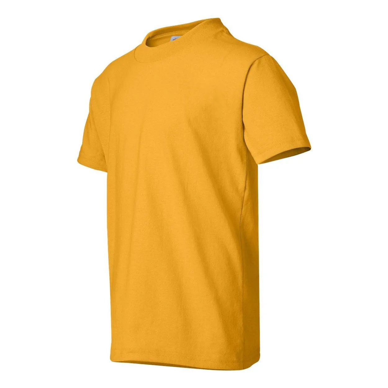 Hanes Ecosmart Youth T-Shirt