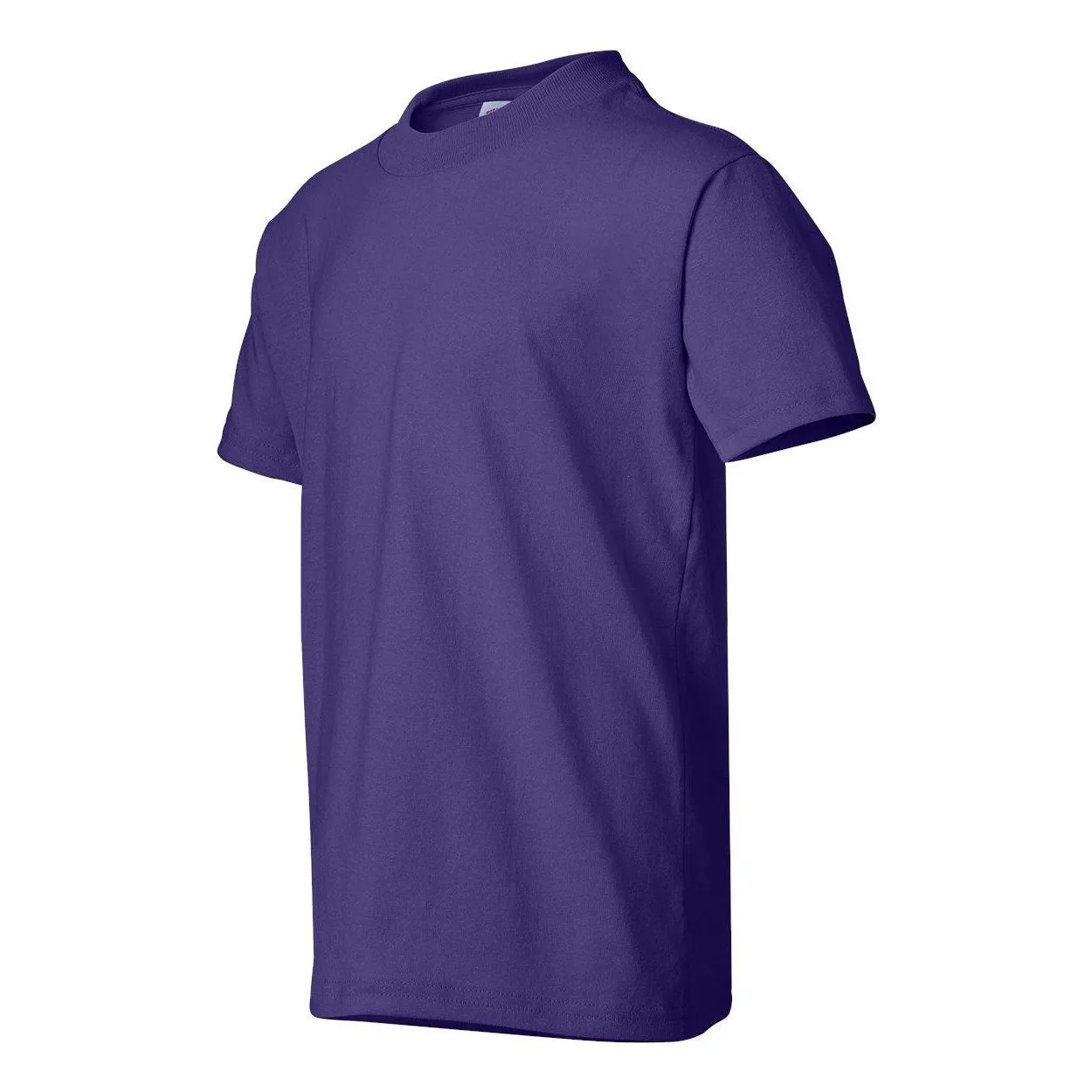 Hanes Ecosmart Youth T-Shirt