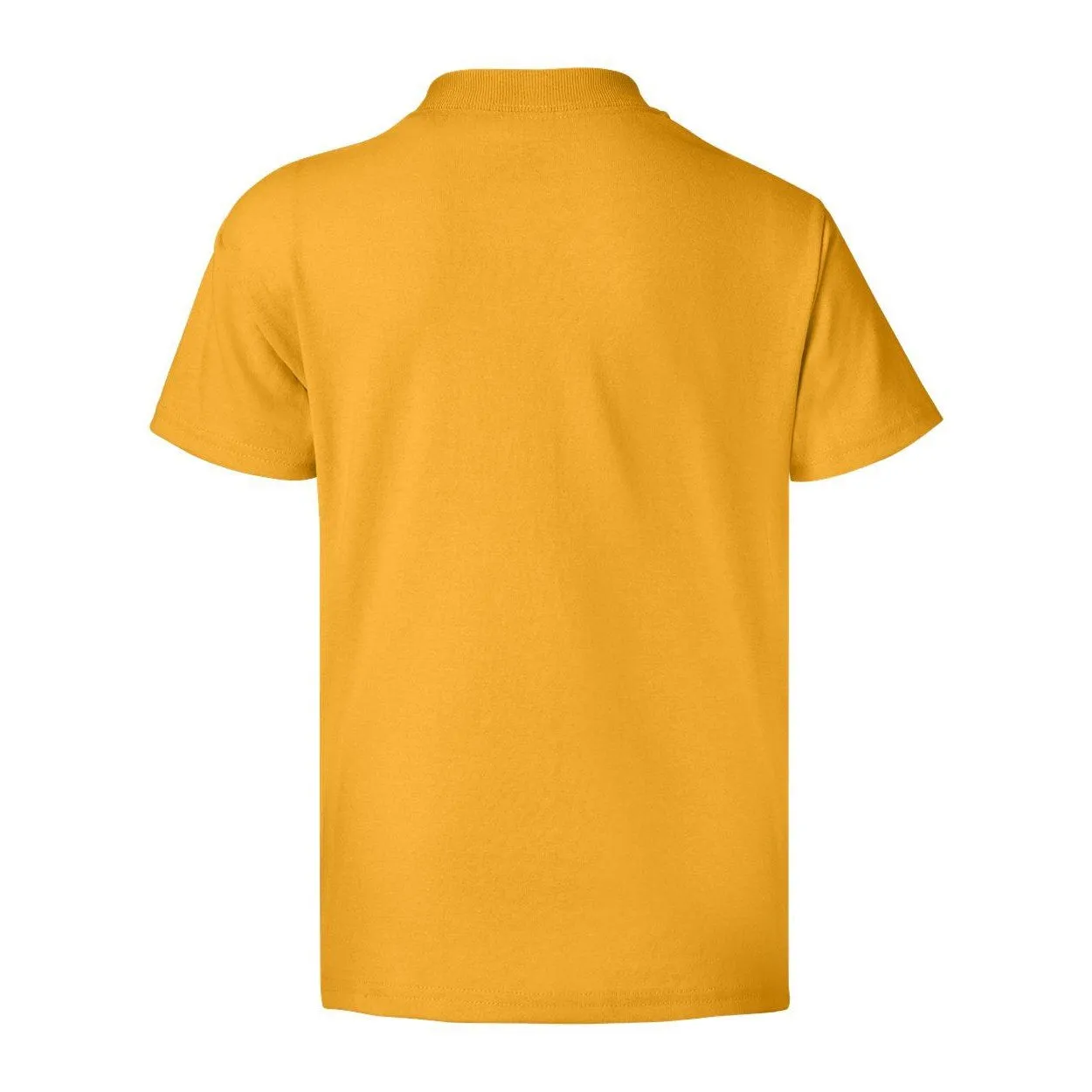 Hanes Ecosmart Youth T-Shirt