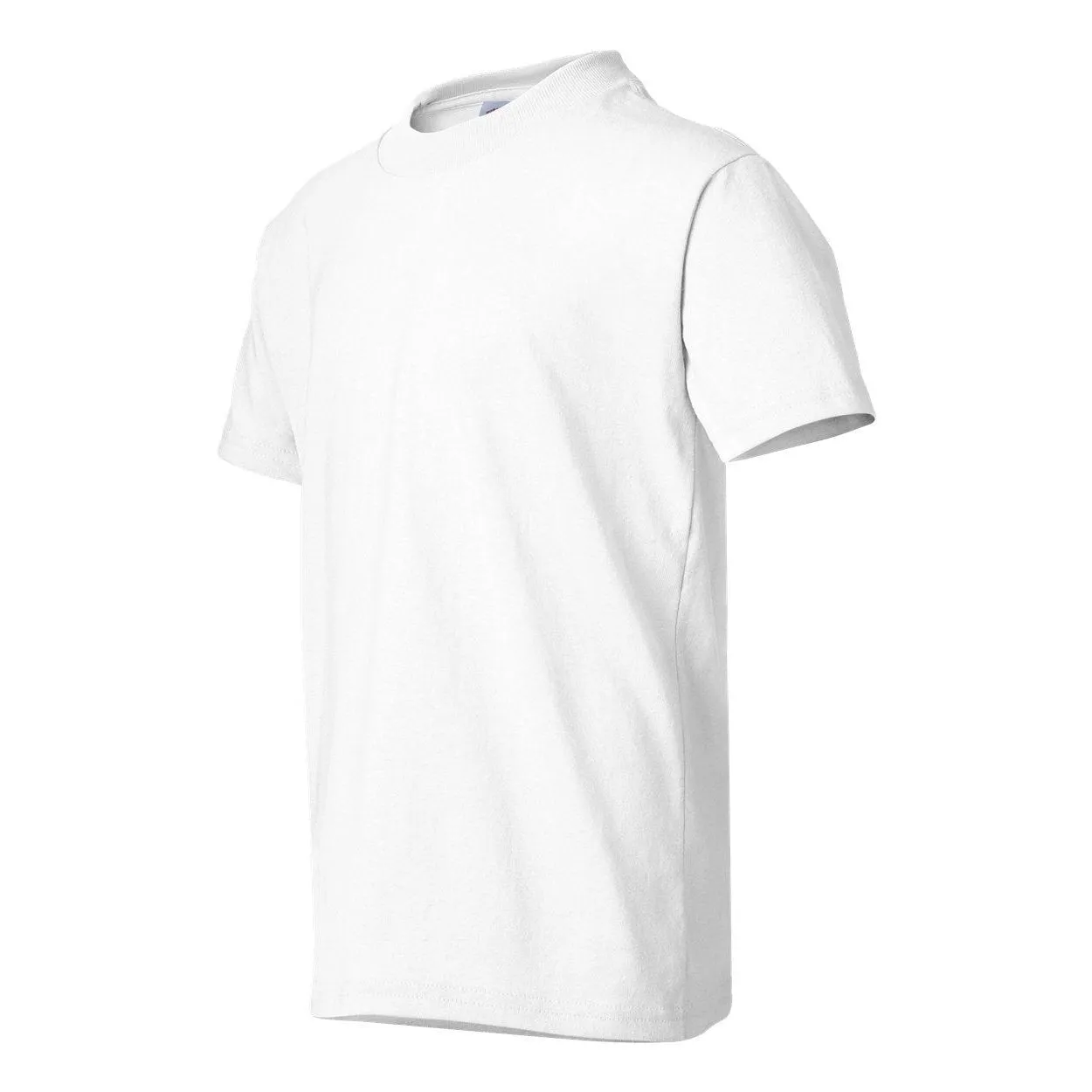 Hanes Ecosmart Youth T-Shirt