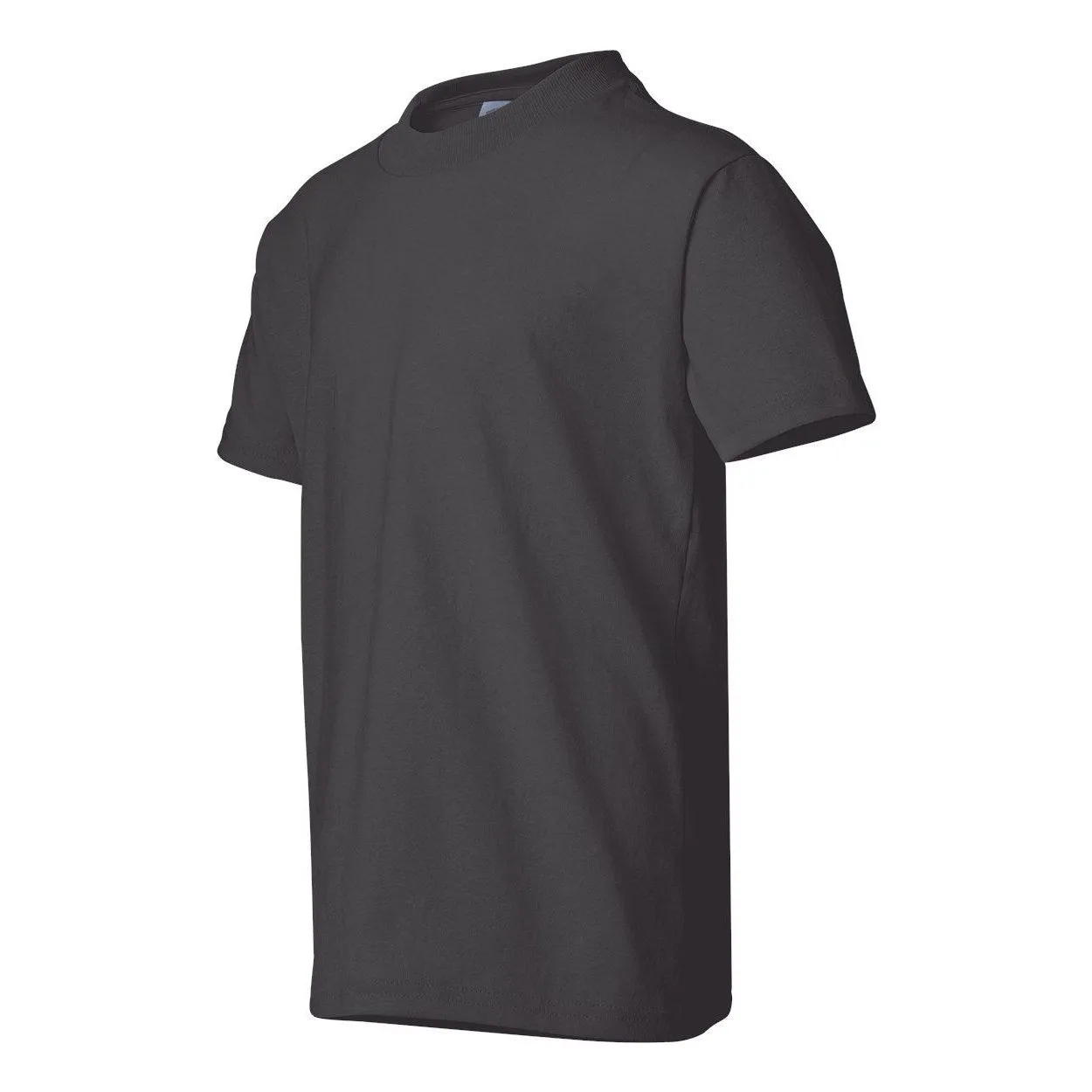 Hanes Ecosmart Youth T-Shirt