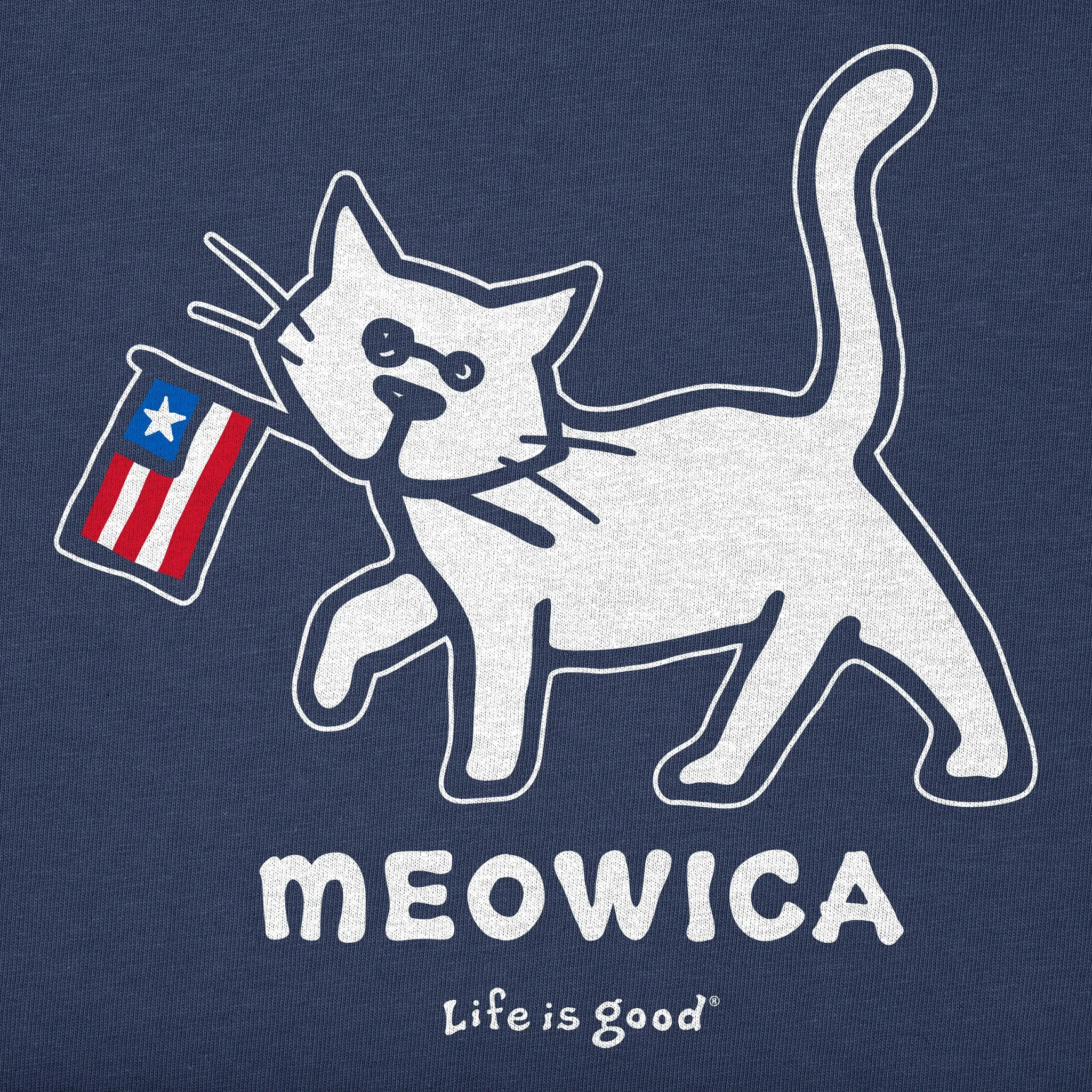 Men's Al Meowica Short Sleeve Crusher Tee Life is Good