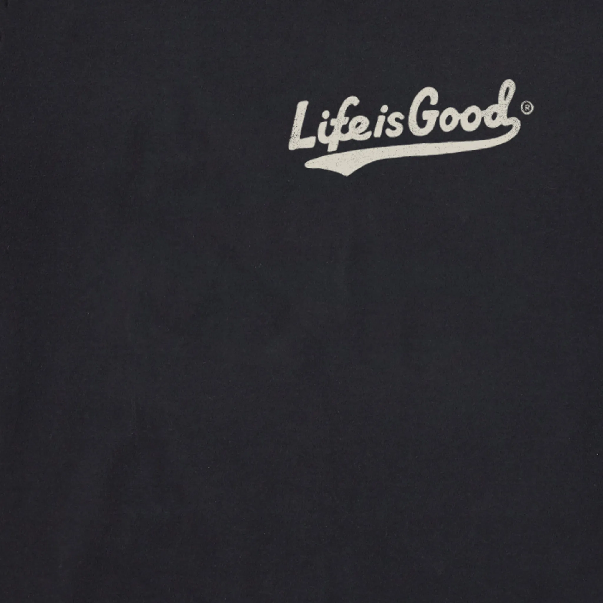 Men's America's Favorite Pastime Short Sleeve Tee Life is Good