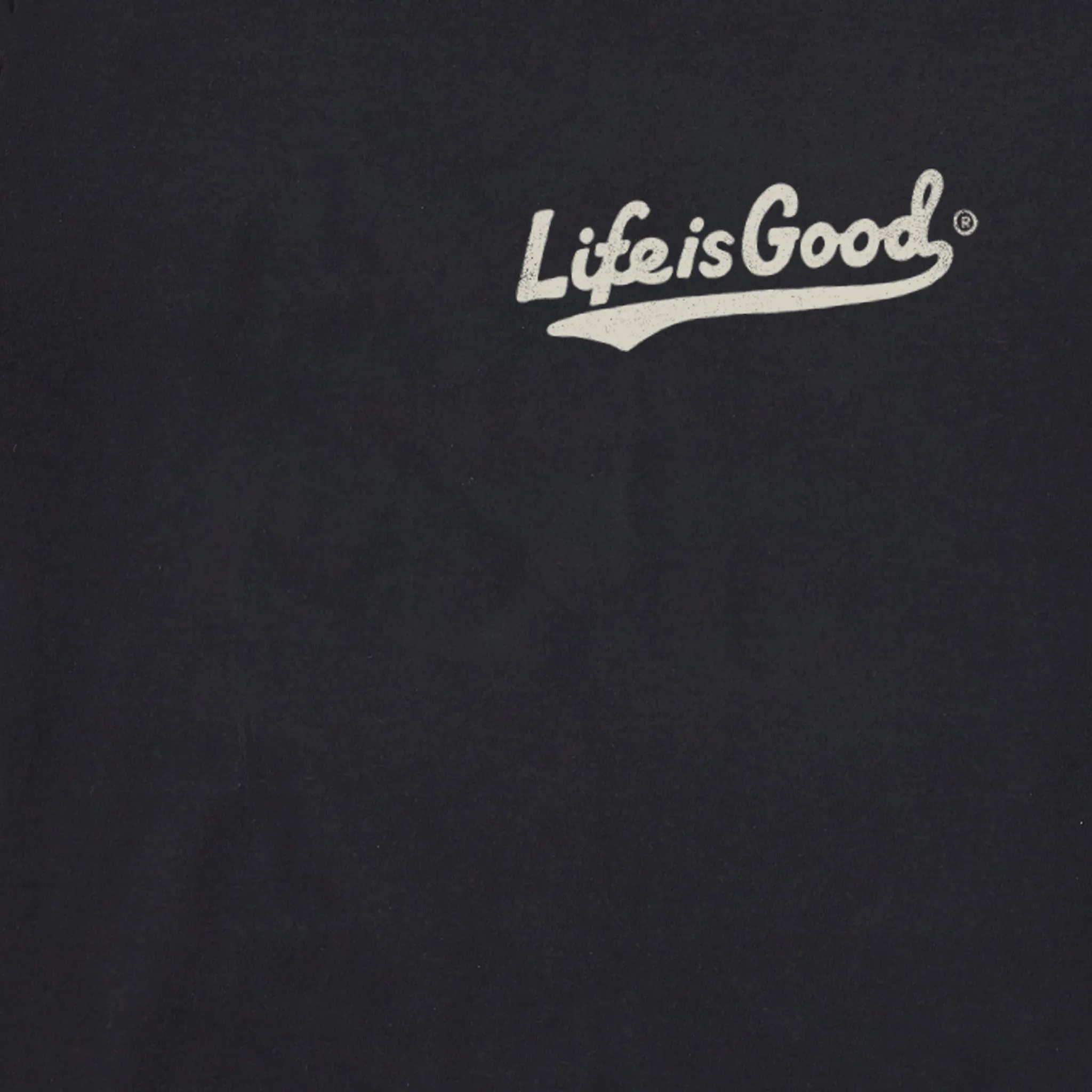 Men's America's Favorite Pastime Short Sleeve Tee Life is Good