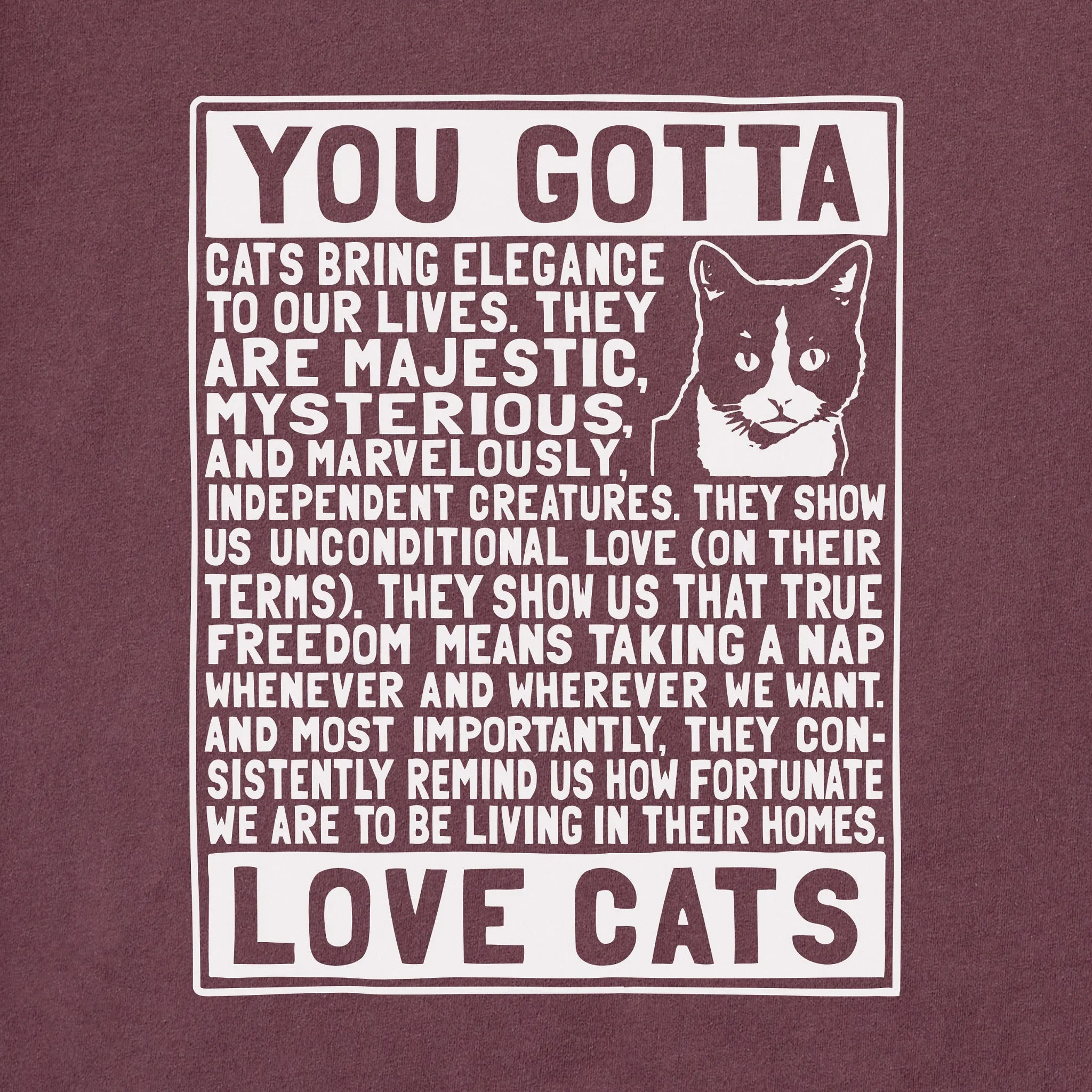 Men's Berts Cat Manifesto Short Sleeve Crusher Tee Life is Good