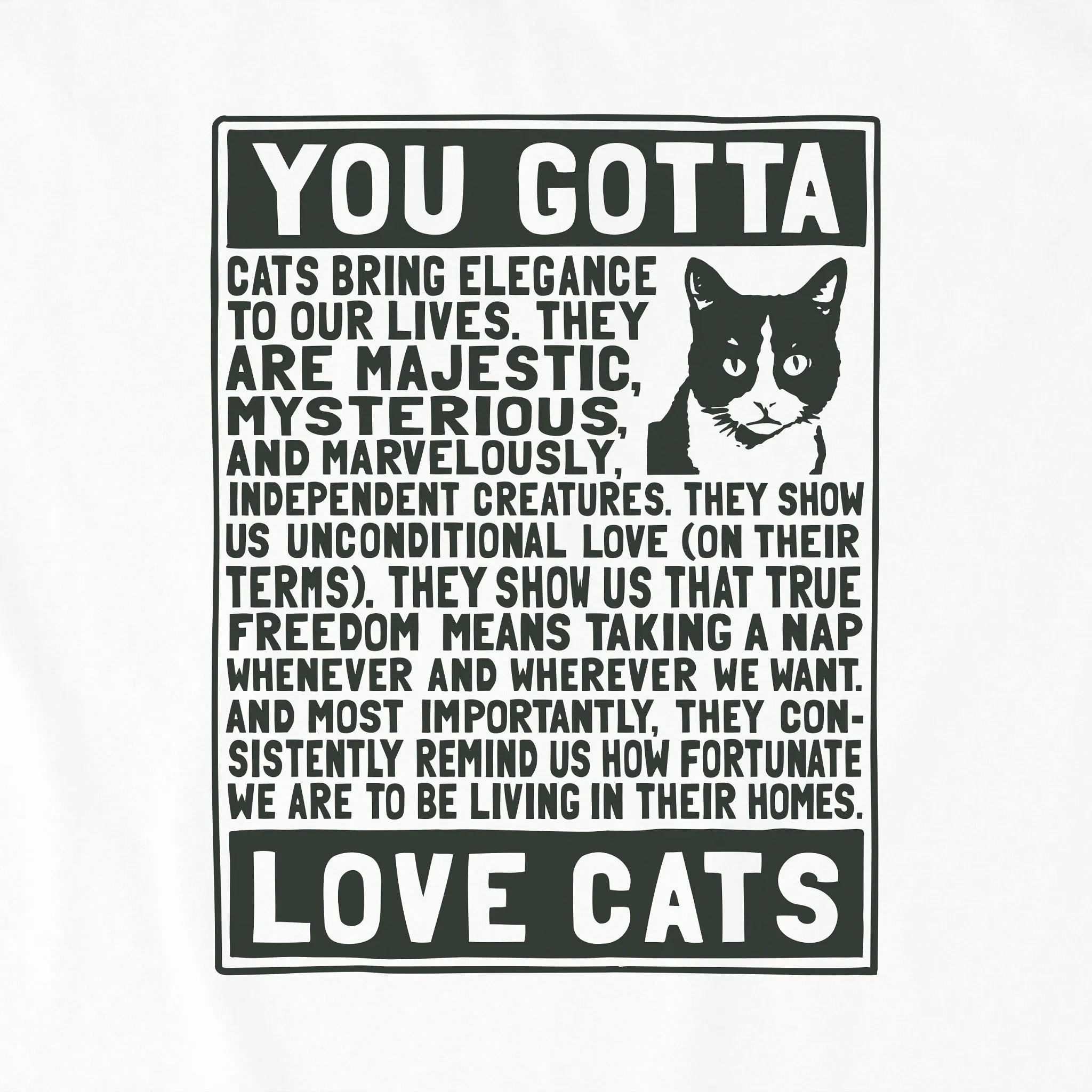 Men's Berts Cat Manifesto Short Sleeve Crusher Tee Life is Good