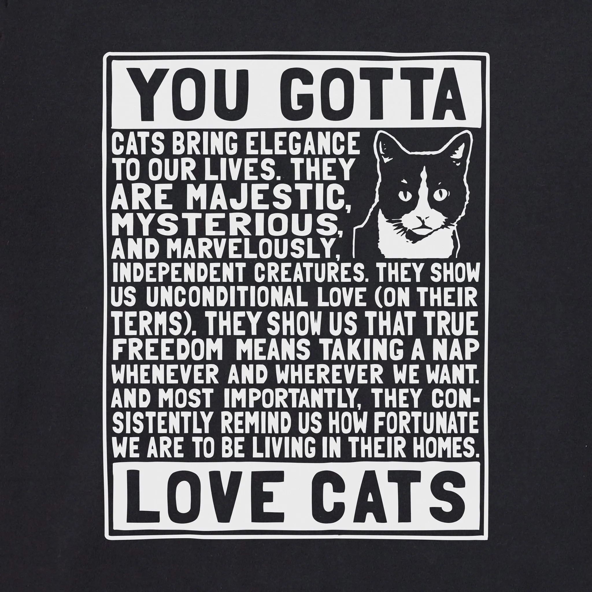 Men's Berts Cat Manifesto Short Sleeve Crusher Tee Life is Good