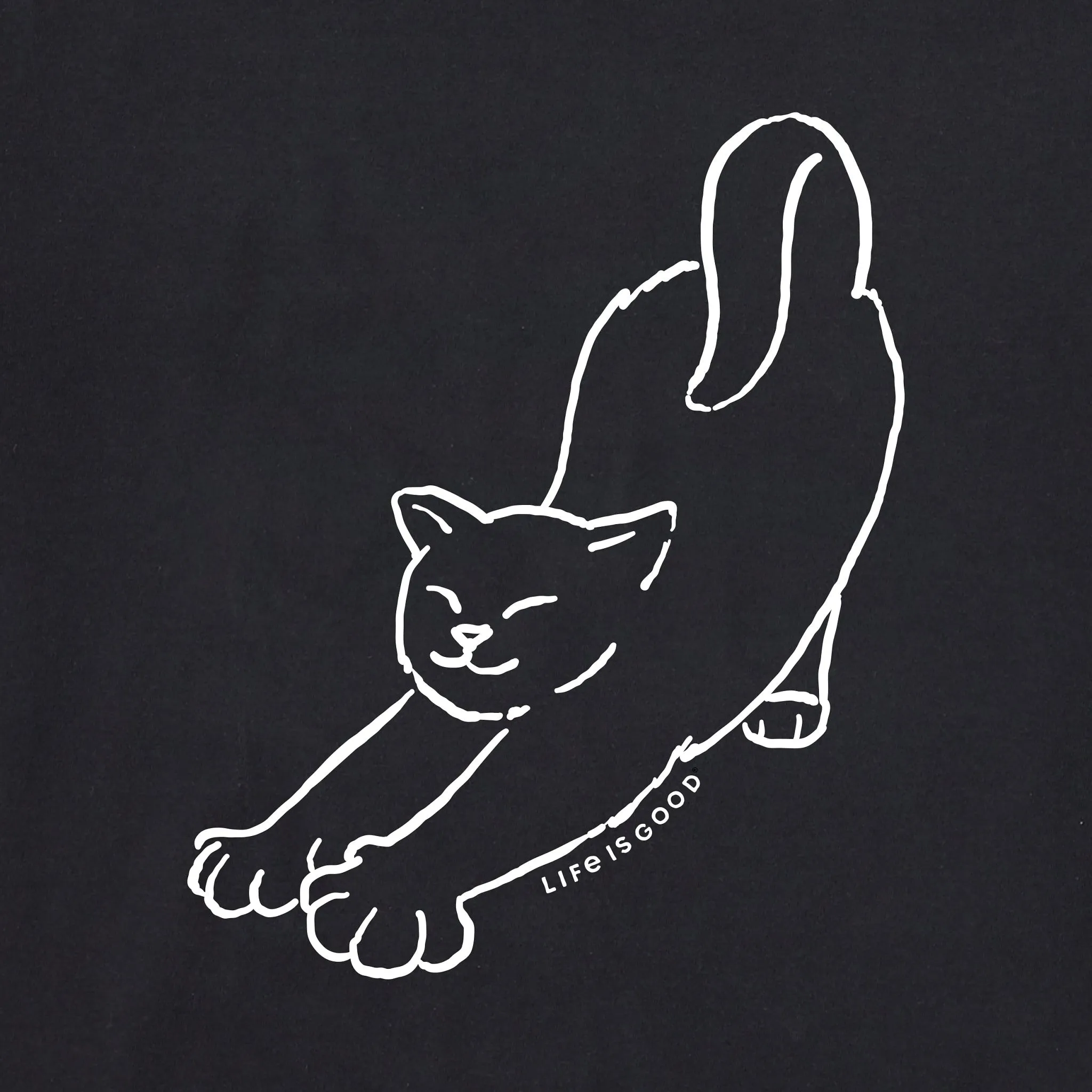 Men's Cat Stretch Short Sleeve Crusher Tee Life is Good