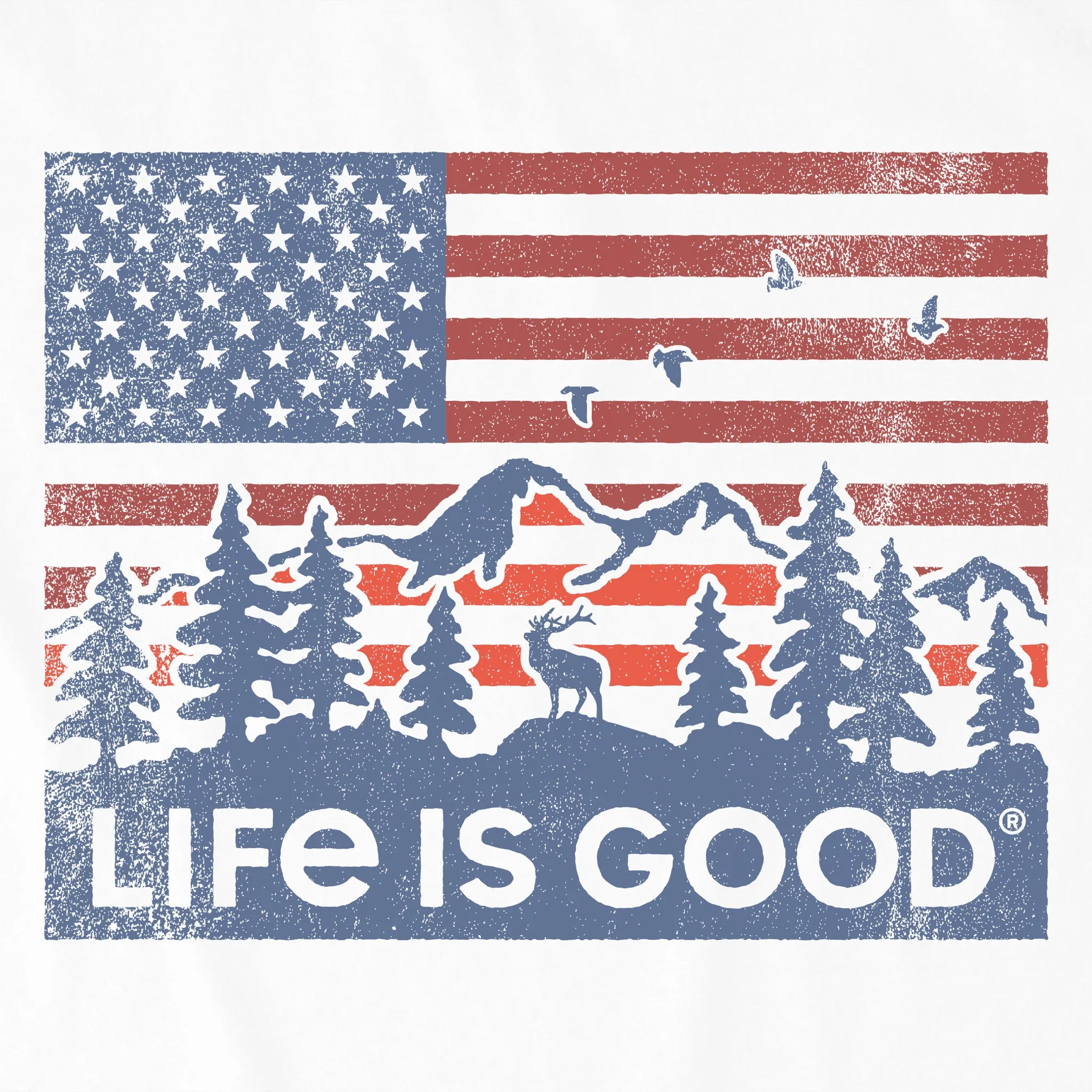 Men's Flag Mountain Scene Short Sleeve Crusher Tee Life is Good