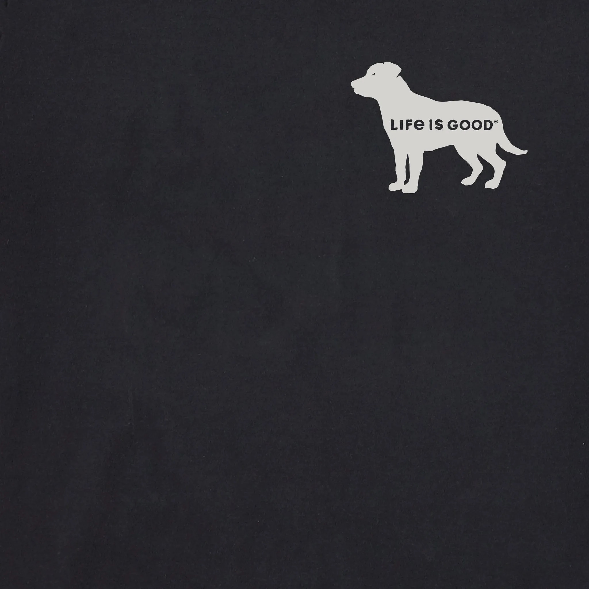 Men's Home of My Dog USA Flag back Short Sleeve Tee Life is Good