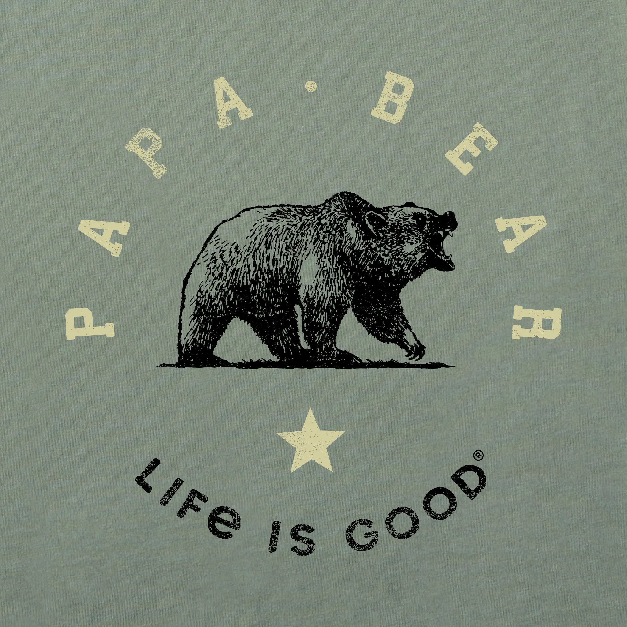 Men's Papa Bear Circle Short Sleeve Tee Life is Good