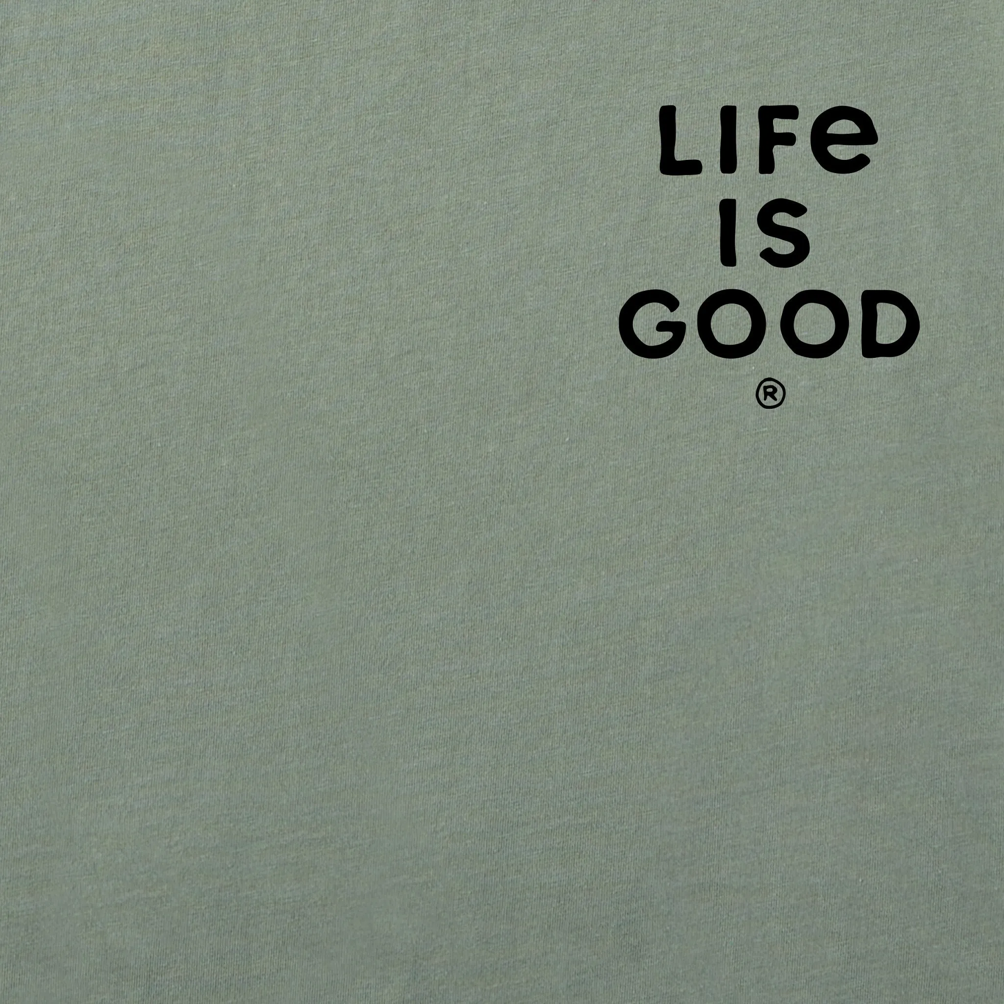 Men's Papa Bear Circle Short Sleeve Tee Life is Good