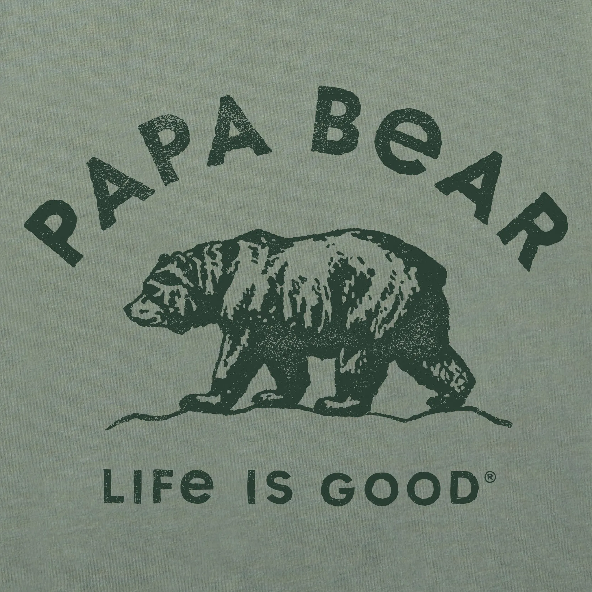Men's Papa Bear Outdoors Short Sleeve Crusher Tee Life is Good
