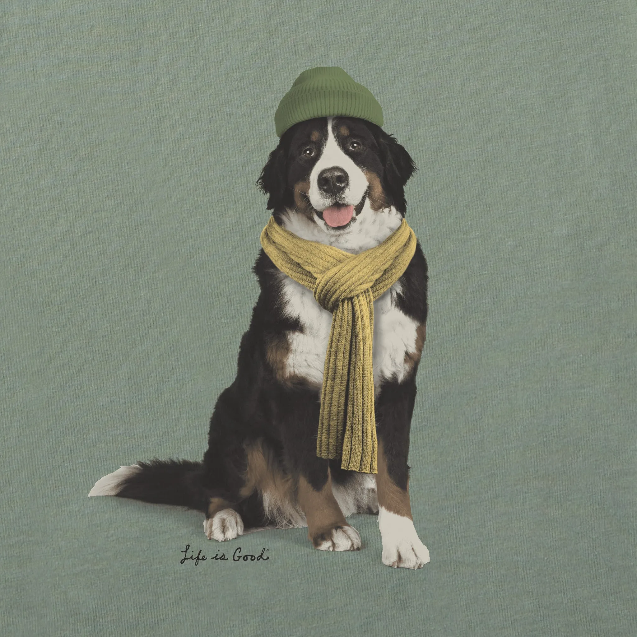 Men's Photoreal Bernese Long Sleeve Crusher Tee Life is Good