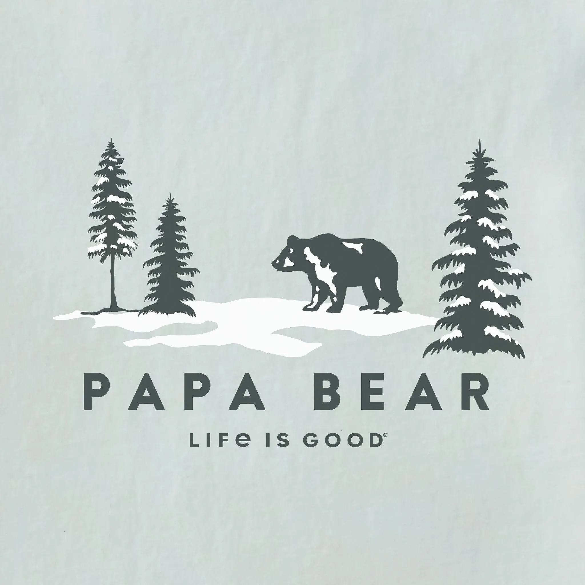 Men's Scenic Papa Bear Short Sleeve Crusher Tee Life is Good