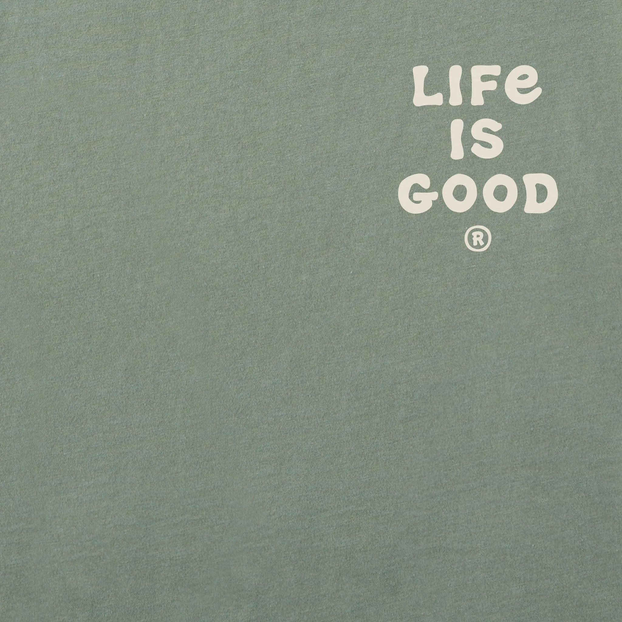 Men's Smoky Mountains Vista Short Sleeve Tee Life is Good