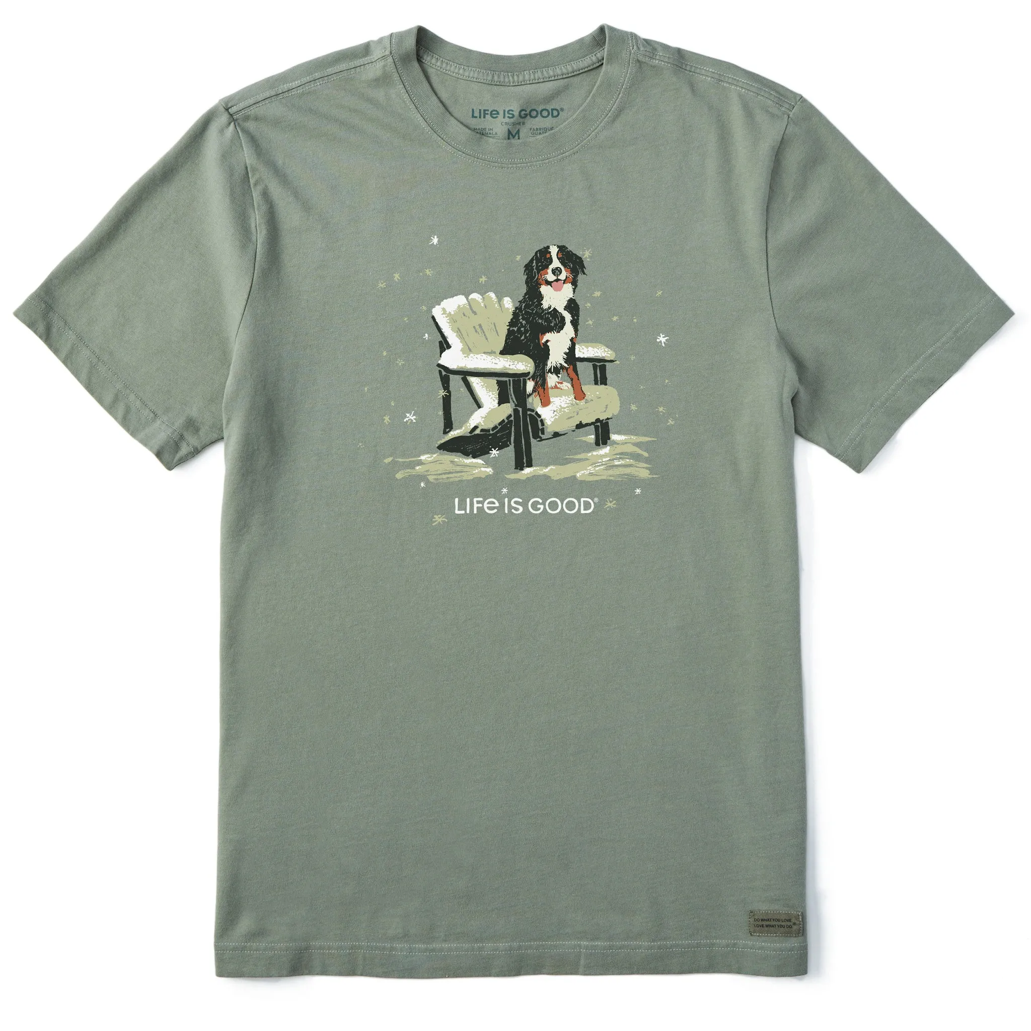 Men's Snowy Adirondack Bernese Short Sleeve Crusher Tee Life is Good