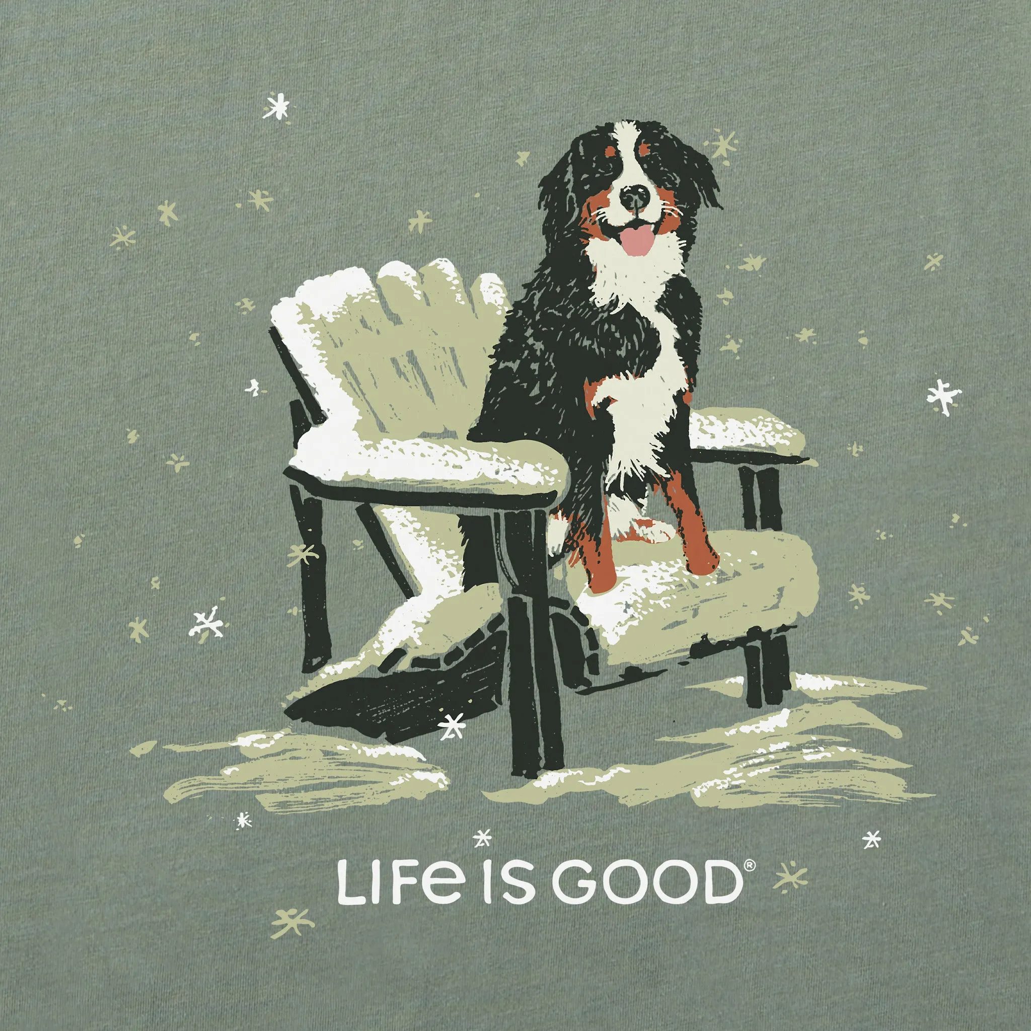 Men's Snowy Adirondack Bernese Short Sleeve Crusher Tee Life is Good