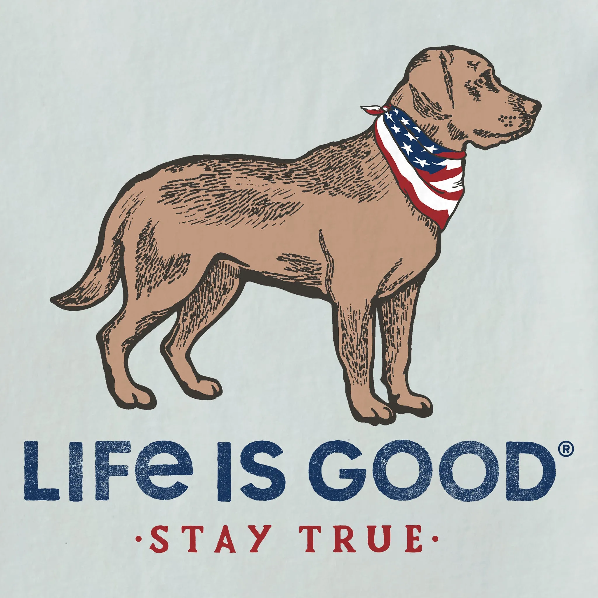 Men's Stay True Dog Long Sleeve Crusher Tee Life is Good