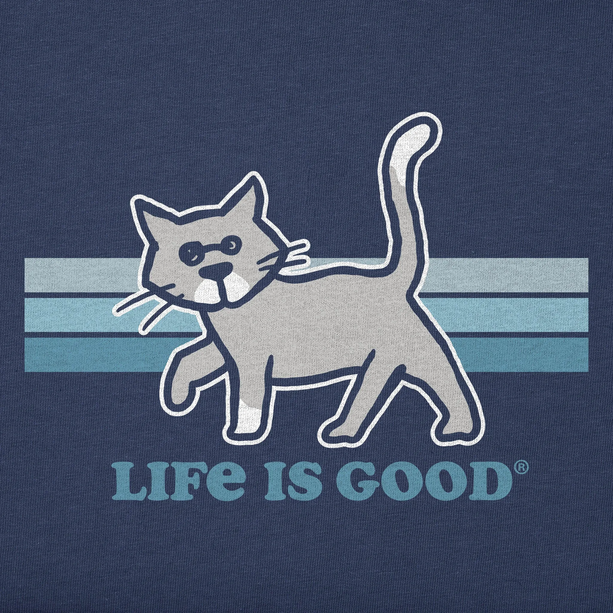 Men's Stripe Al Short Sleeve Crusher Tee Life is Good