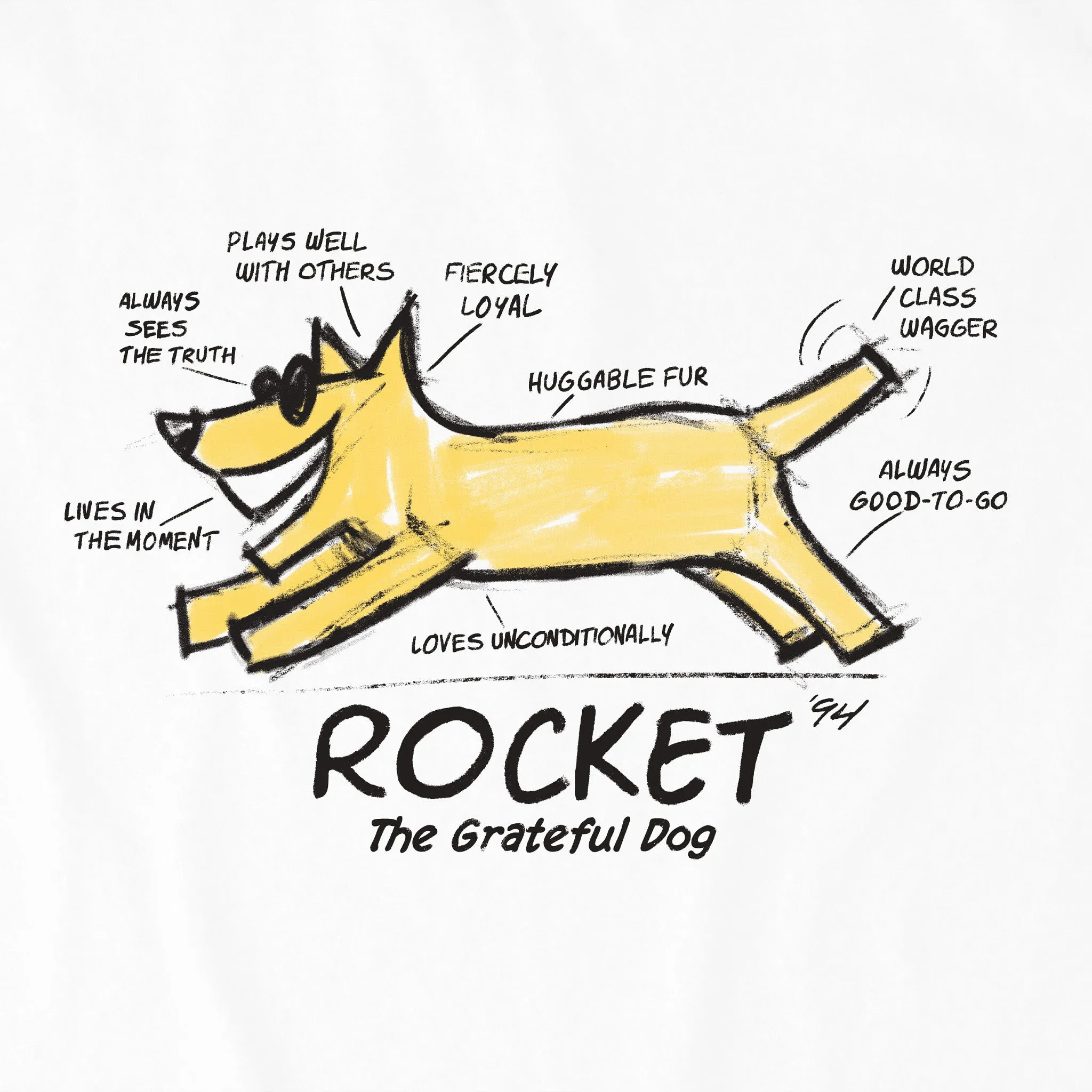 Men's The Anatomy of Rocket Short Sleeve Tee Life is Good