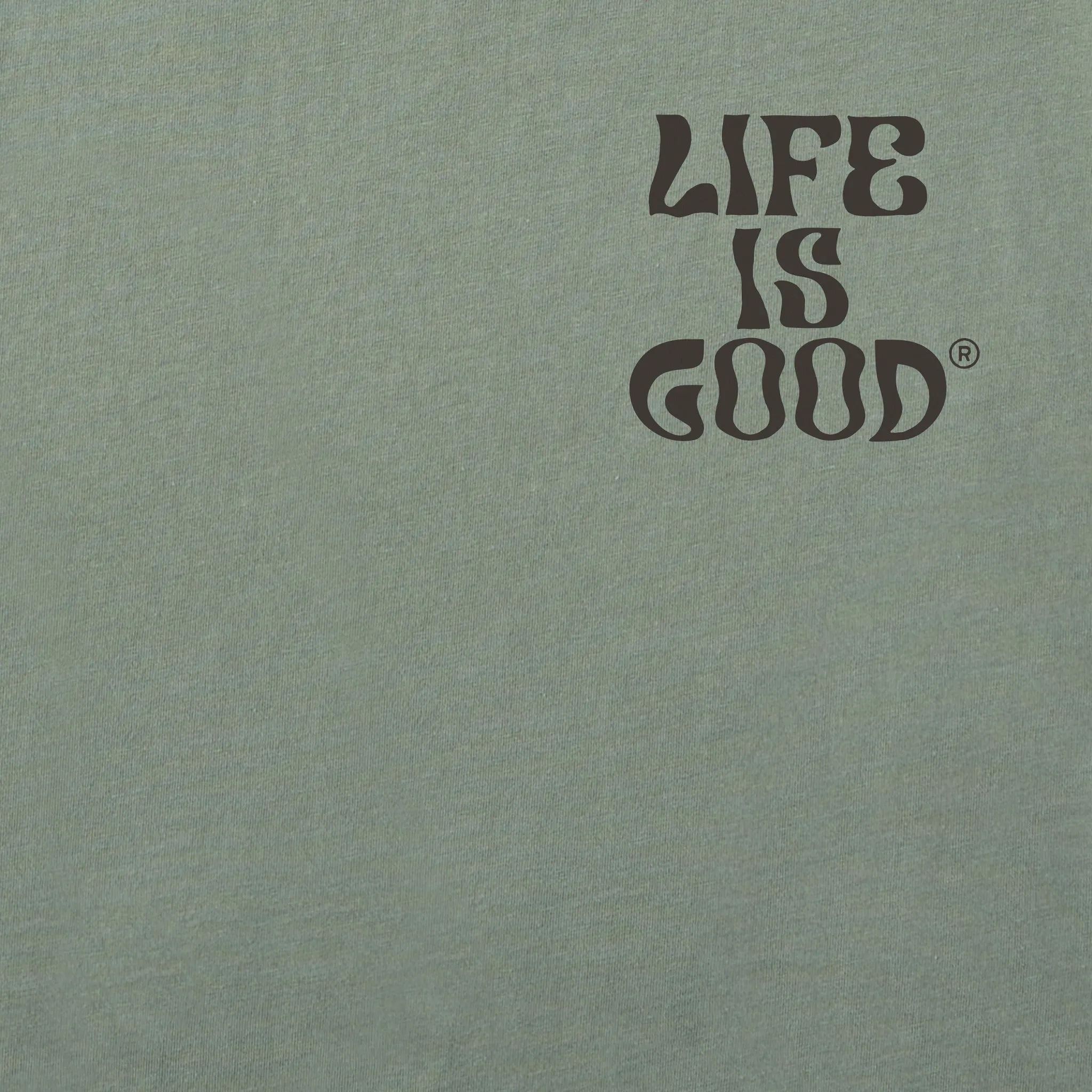 Men's Yosemite Falls Short Sleeve Tee Life is Good