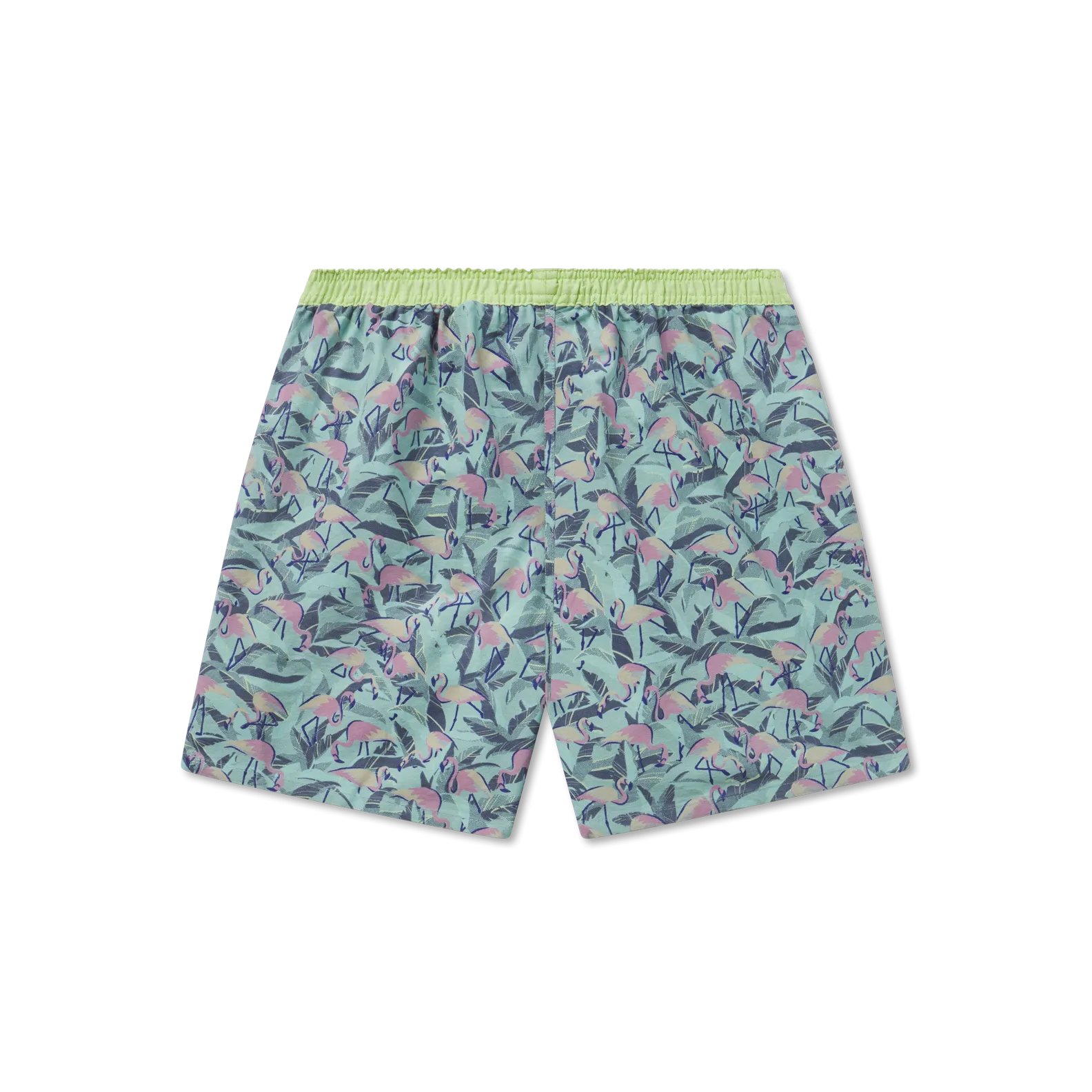 Southern Marsh 21 Hanover Flamingos Boxer