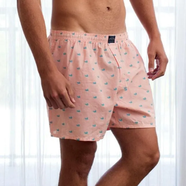 Southern Marsh 21 Hanover Oxford Boxer