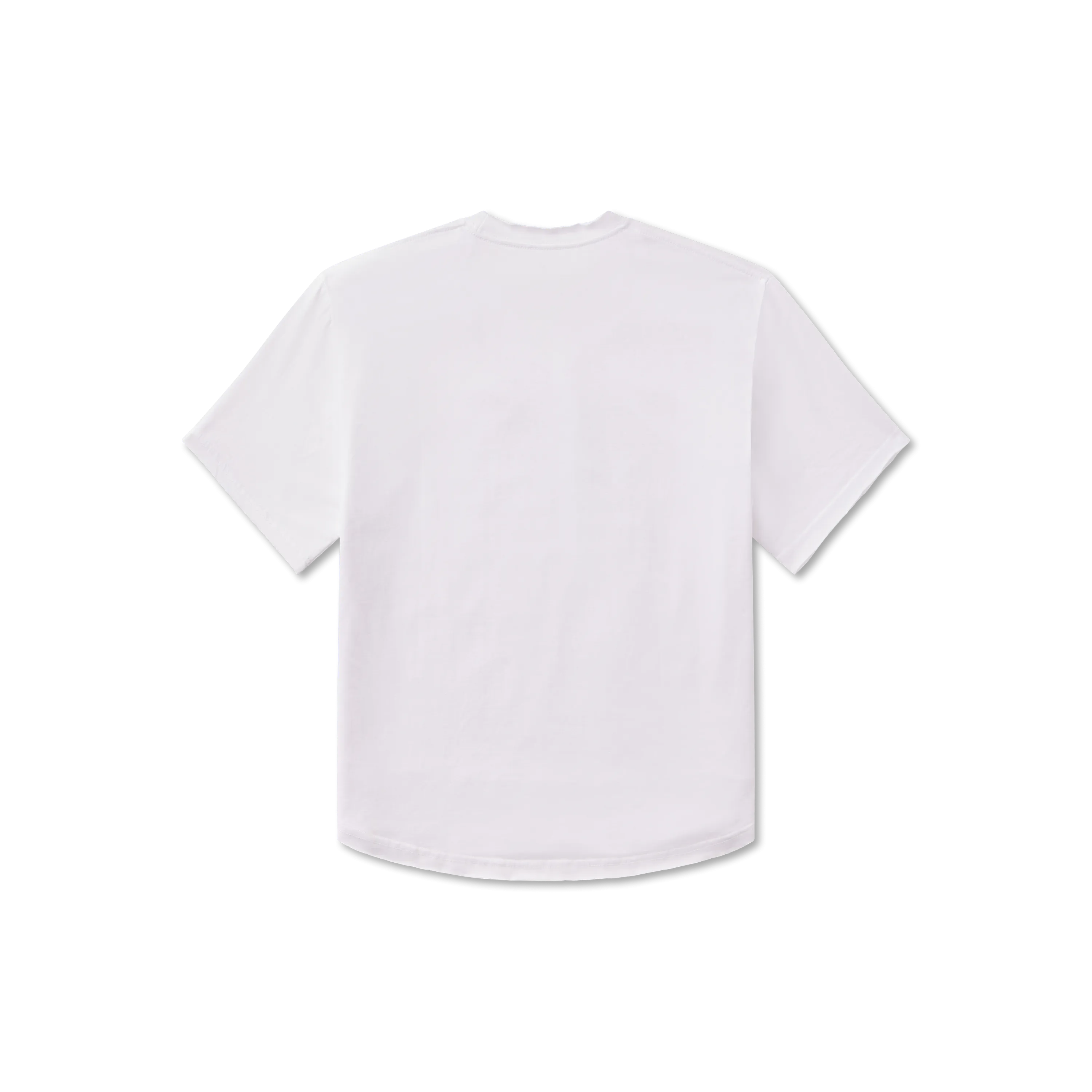 Southern Marsh 21 Olivia Vintage Tee - Flag
