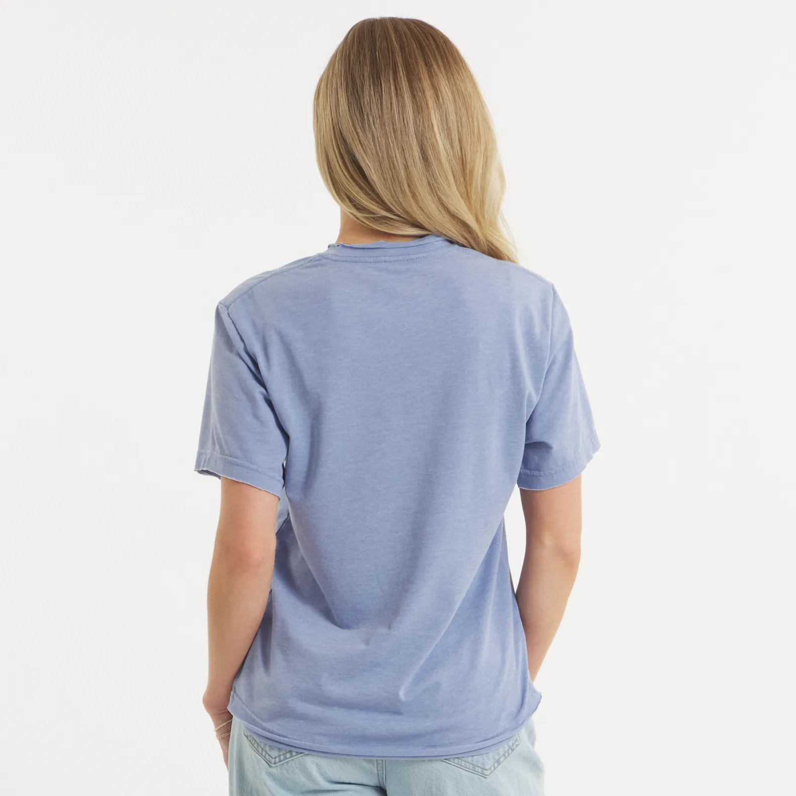 Southern Marsh 21 Olivia Vintage Tee - Flag