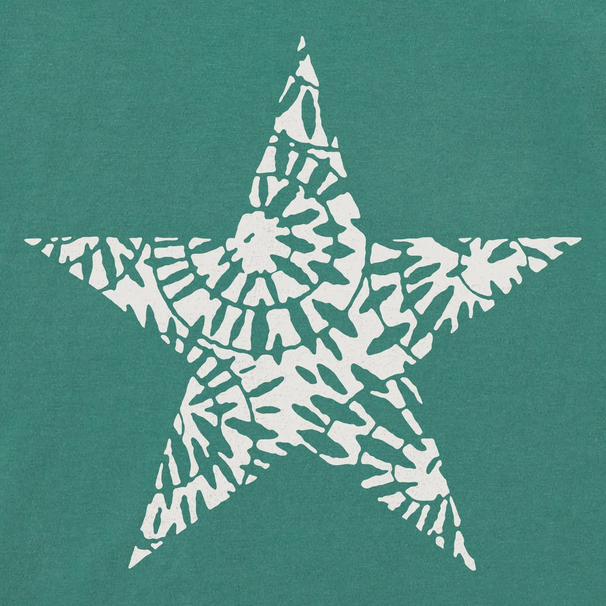 Women's Bert's Smashing Star Short Sleeve Crusher Boxy Tee Life is Good