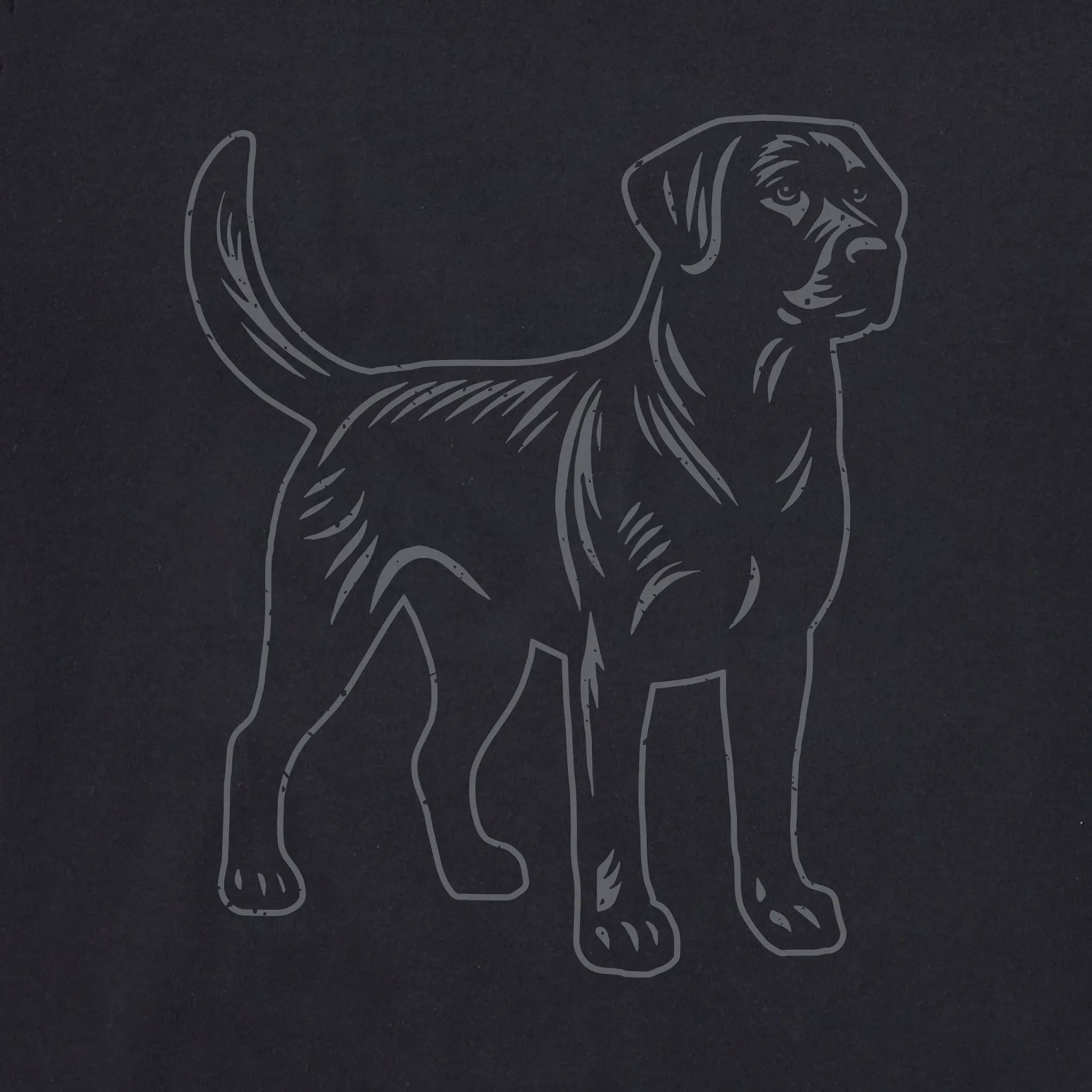 Women's Clean Labrador Short Sleeve Tee Life is Good