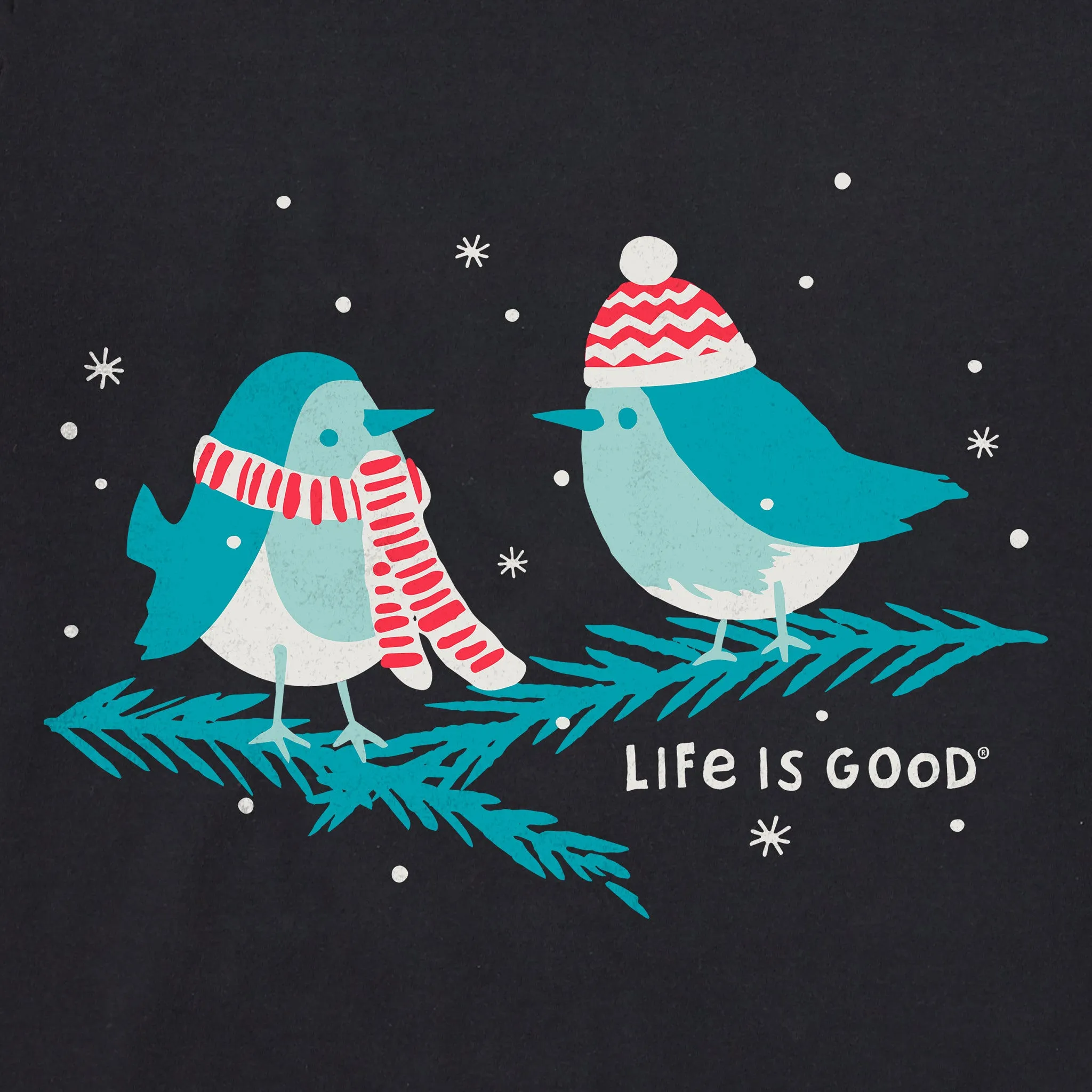 Women's Cozy Birds Long Sleeve Crusher Vee Life is Good