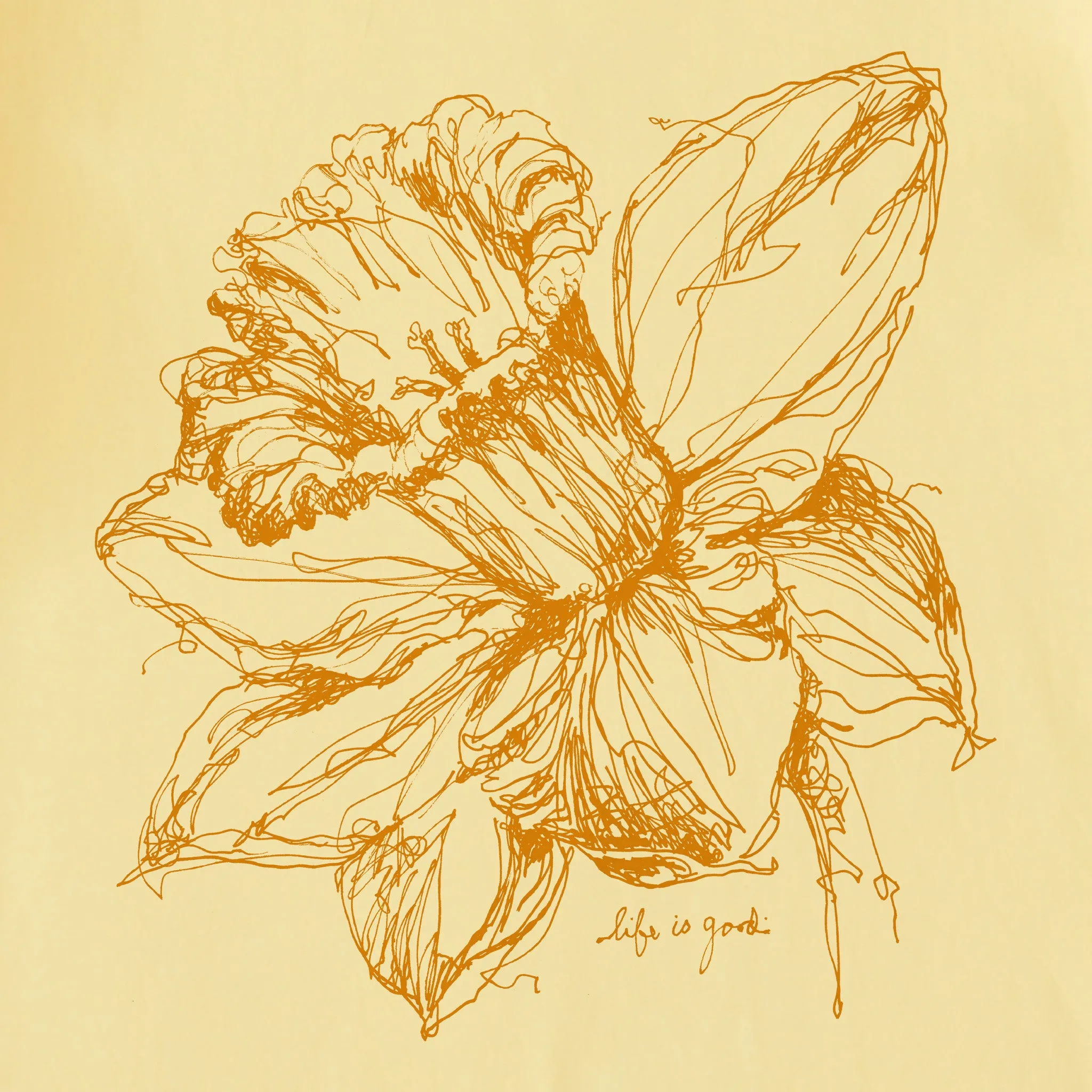 Women's Daffodil Short Sleeve Tee Life is Good