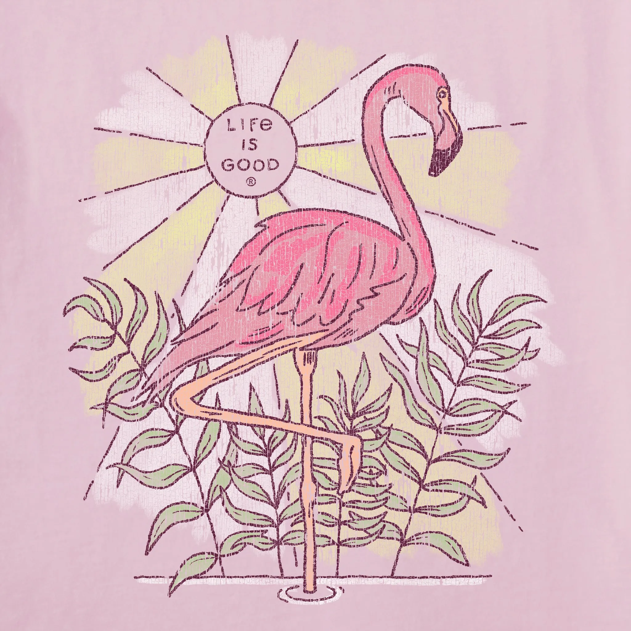 Women's Dreamy Flamingo Short Sleeve Tee Life is Good