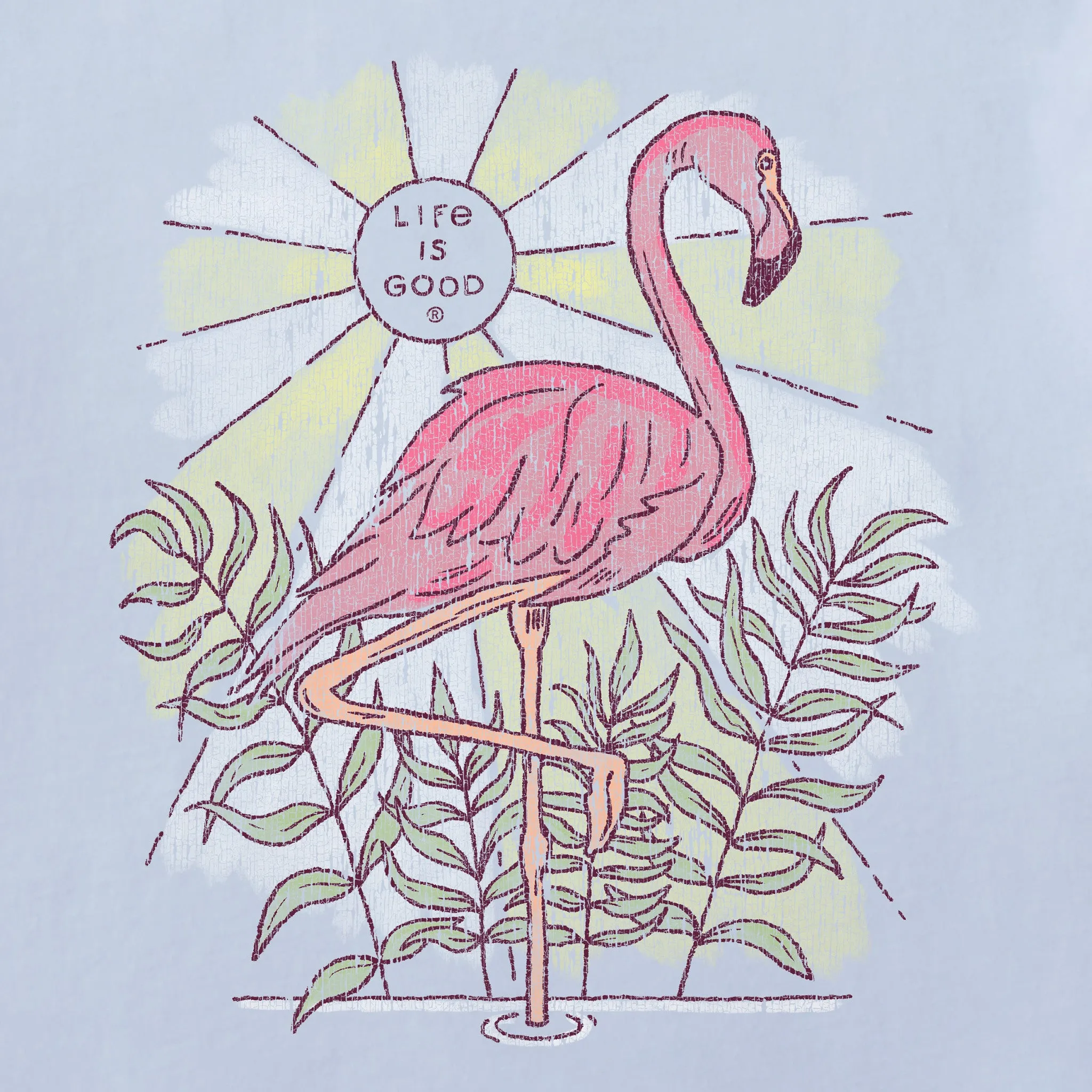 Women's Dreamy Flamingo Short Sleeve Tee Life is Good