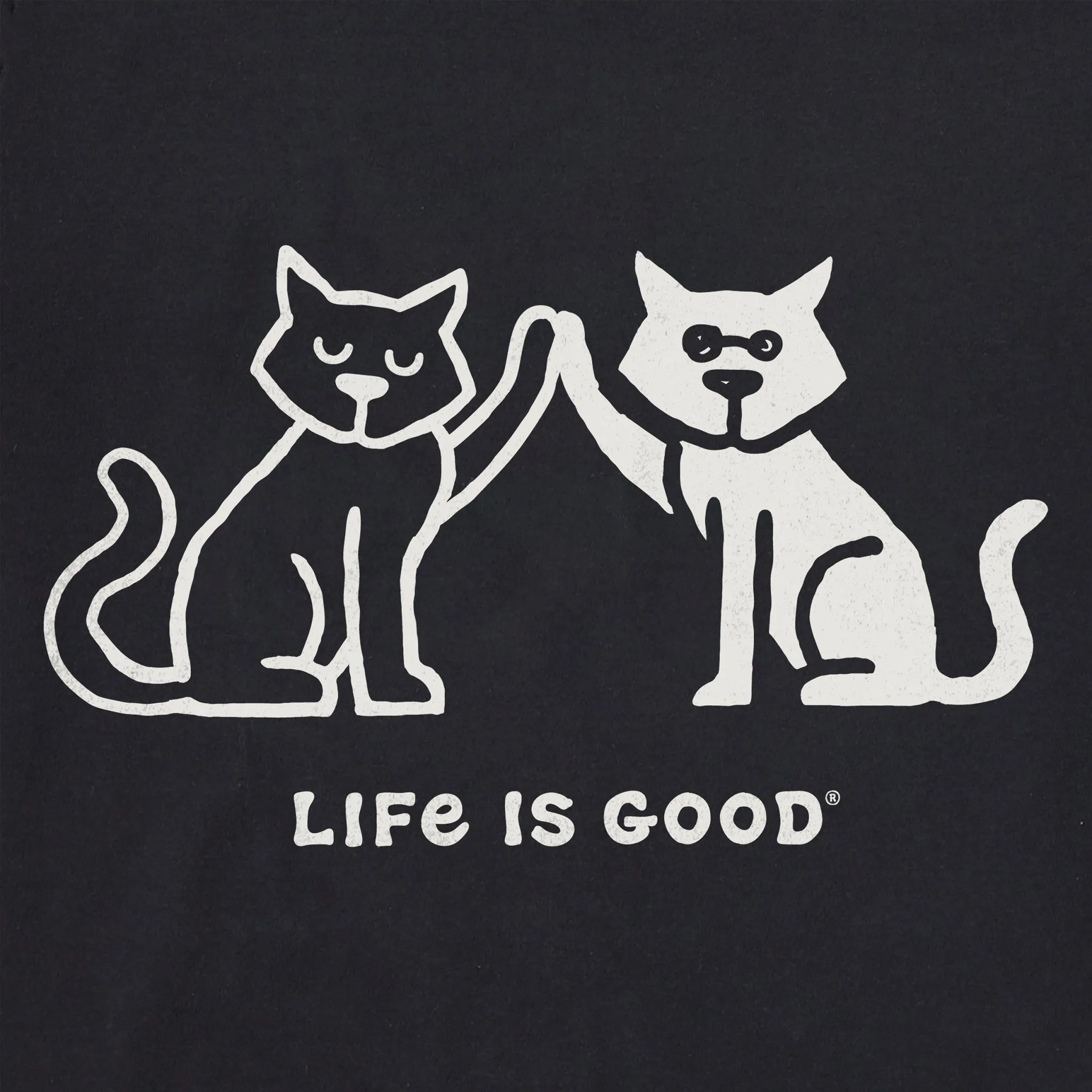 Women's High Five Cats Short Sleeve Crusher Boxy Tee Life is Good